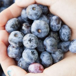 Blueberries: A Must Have Blue